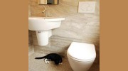 Acton Kitchen & Bath